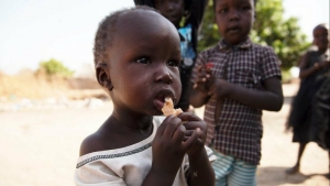 نيويورك: 238 منظمة تدعو المجتمع الدولي لاتخاذ إجراءات عاجلة لإنهاء أزمة الجوع العالمي