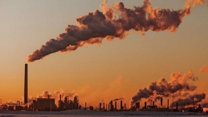 أمستردام: "غرينبيس" تتهم شركات نفطية عالمية بالوقوف وراء تداعي ناقلة "صافر"