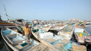اليمن: دعم ألماني بـ 20 مليون دولار للقطاع السمكي