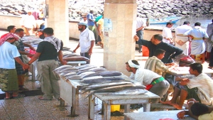 اليمن: دراسة وقف تصدير المنتجات السمكية والزراعية