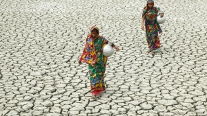 اقتصاد: ما حجم التمويلات المطلوبة للدول النامية لمواجهة آثار تغير المناخ؟