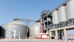 اليمن: الحكومة تعتزم إنشاء صوامع لتخزين القمح لتحقيق استقرار تمويني