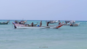 اقتصاد: شركات أجنبية تستنزف أسماك اليمن