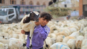 تحقيق: اليمنيون يصارعون الغلاء ويستغنون عن شراء الأضاحي والملابس في العيد