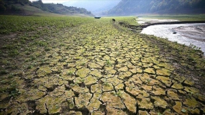 منوعات: مع تزايد الجفاف عالميا.. خبراء يوصون بزراعات أقل احتياجا للماء