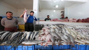 تحقيق: ارتفاع أسعار الأسماك في عدن بجنوب اليمن يفاقم معاناة السكان