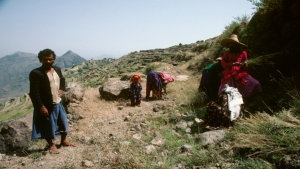 اليمن: تفتيت الصخور لكسب العيش.. زراعة المدرجات