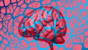 صحة: دراسة طبية حديثة تعطينا اسرار الحفاظ على صحة الدماغ