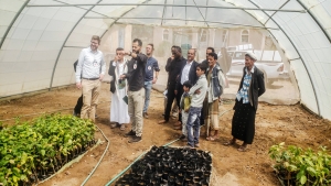 جنيف: "الصليب الأحمر الدولية" تنضم إلى مشروع الاستجابة لتعزيز الأمن الغذائي في اليمن