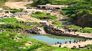 اليمن: وفاة خمسة اشخاص من اسرة واحدة غرقا في سد مائي بمحافظة اب