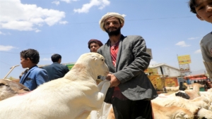 تقرير: حرب اقتصادية تنغّص على اليمنيين فرحة عيد الأضحى