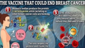 صحة: ثورة لمواجهة سرطان الثدى.. لقاح تجريبى يمكنه القضاء على المرض بحلول 2030