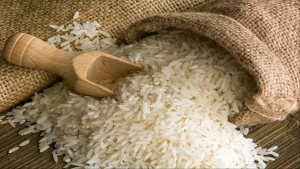 اقتصاد: أسعار الأرز مرشحة للارتفاع عالمياً مع اتجاه الهند لحظر تصديره عنصر غذائي أساسي لنصف سكان العالم