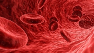 صحة: دراسة حديثة تكشف عن زيادة ملحوظة في حالات الإصابة بفقر الدم عالميا