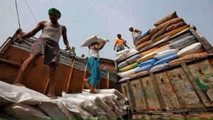 نيودلهي: بعد الأرز..الهند تعتزم حظر صادرات السكر