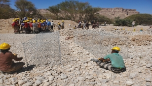 اليمن: "الفاو" تنفذ مشروع لتوفير مياه الري وتحسين الإنتاج الزراعي في ثلاث محافظات بتمويل ألماني