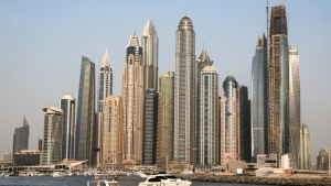 دبي: الإمارات تحيل عشرات الأشخاص إلى محكمة أمن الدولة بتهم تتعلق بالإرهاب