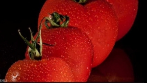 صحة: الطماطم تقلل خطر الإصابة بارتفاع ضغط الدم