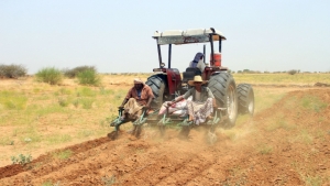 اقتصاد: إنتاج الحبوب اليمنية..تحديات زراعية وسط تفاقم أزمة البحر الأحمر
