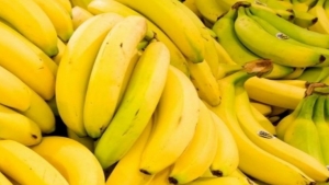 صحة: تناول الموز يدعم القلب ويِحسن المزاج ويُقلل خطر السرطان