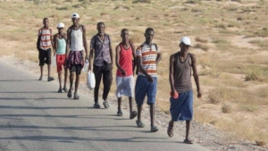 جنيف: "الهجرة الدولية" تناشد المانحين زيادة الدعم لإعادة المهاجرين العالقين في اليمن إلى بلدانهم