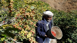 اقتصاد: الزراعة اليمنية أمام أزمة إغلاق منفذ الطوال: ضربة للصادرات