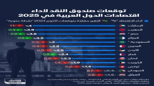 اقتصاد: صندوق النقد يخفض توقعاته لنمو اقتصاد الشرق الأوسط وشمال أفريقيا لعامي 2025 و2026