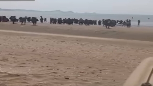 اليمن: قوات أمنية تعترض قارباً يقل 205 مهاجرين أفارقة قبالة سواحل لحج