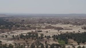 اليمن: ضبط متهم بقتل شخصين دهساً بسيارته في حضرموت