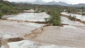 اليمن: "الفاو" تتوقع تضرر 409 آلاف هكتار من الأراضي الزراعية و1.7 مليون رأس ماشية جراء الفيضانات