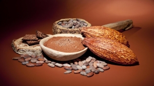 صحة: الكاكاو وتأثيره على العين.. نتائج واعدة من تجارب مخبرية