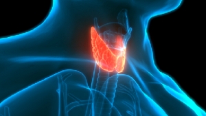 صحة: علامات تشير إلى اختلال عمل الغدة الدرقية