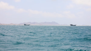 اليمن: الحوثيون ينفون التخطيط لفرض رسوم على المرور عبر مضيق باب المندب